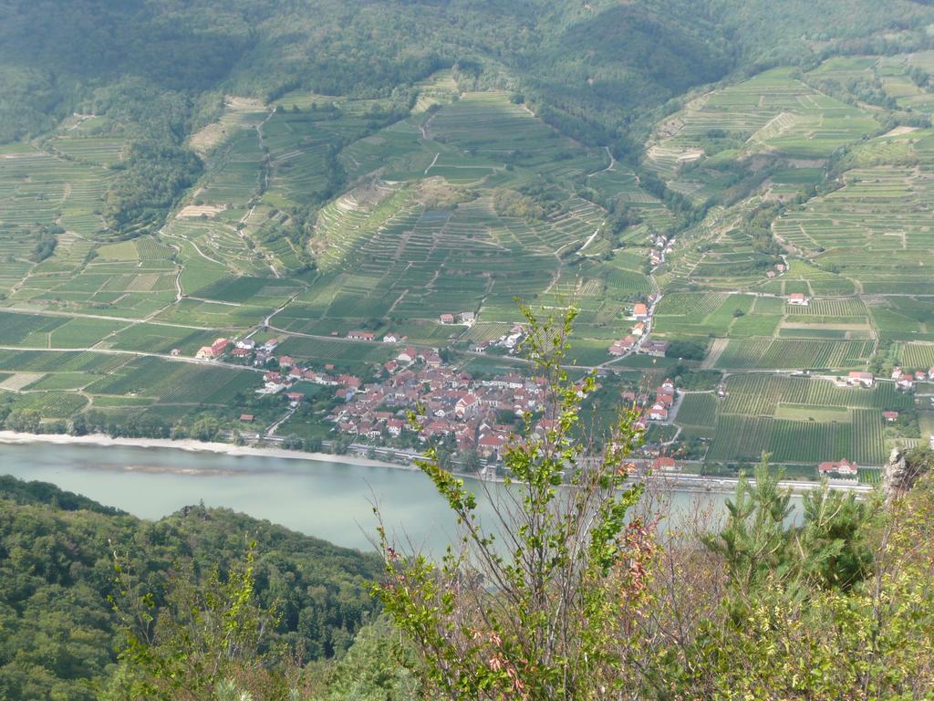 Weingut Langmayer Wösendorf Екстериор снимка