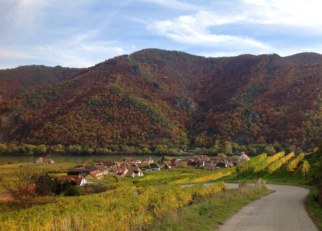 Weingut Langmayer Wösendorf Екстериор снимка