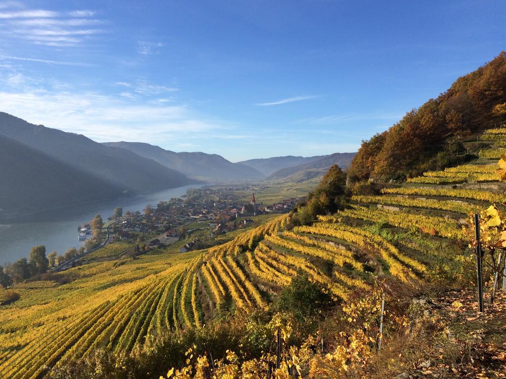 Weingut Langmayer Wösendorf Екстериор снимка
