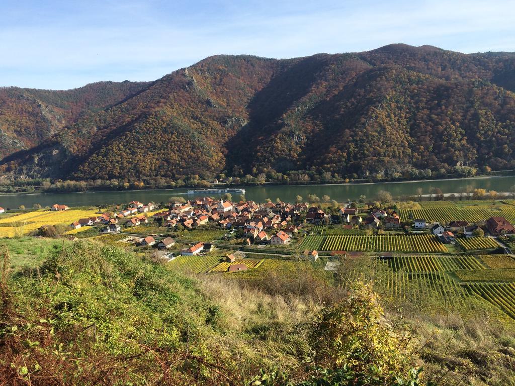 Weingut Langmayer Wösendorf Екстериор снимка